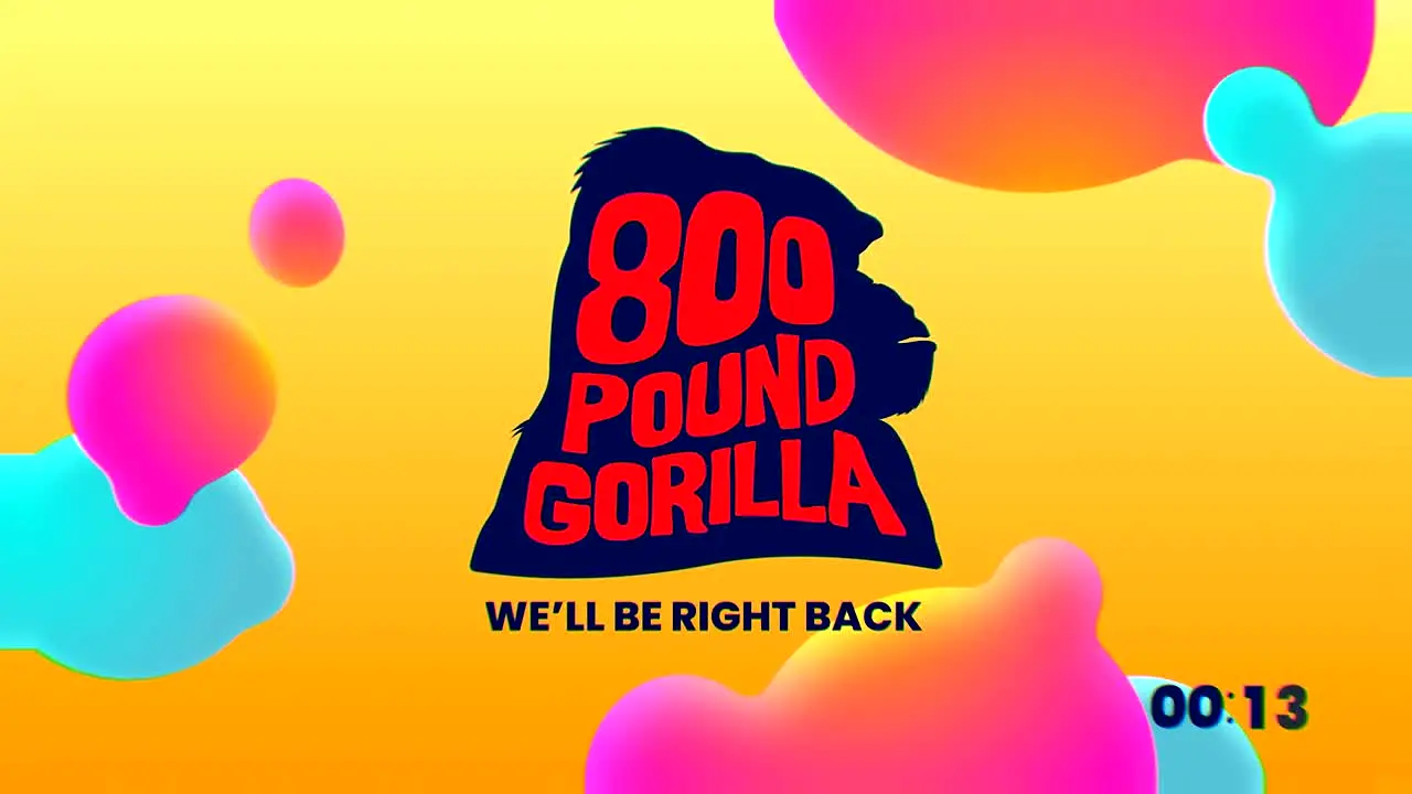 800 Pound Gorilla in diretta