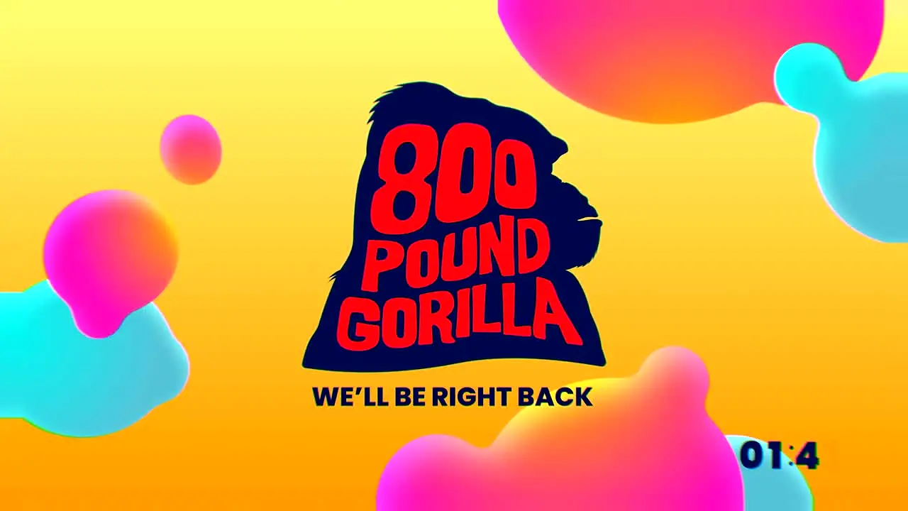 800 Pound Gorilla live