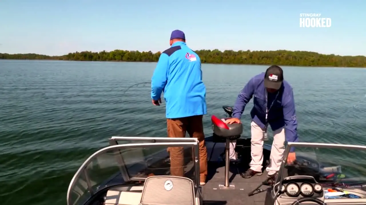 Hooked live