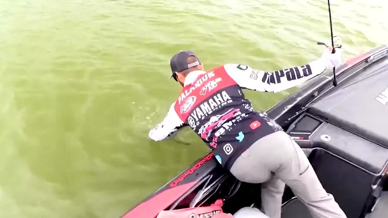 Bassmaster en vivo