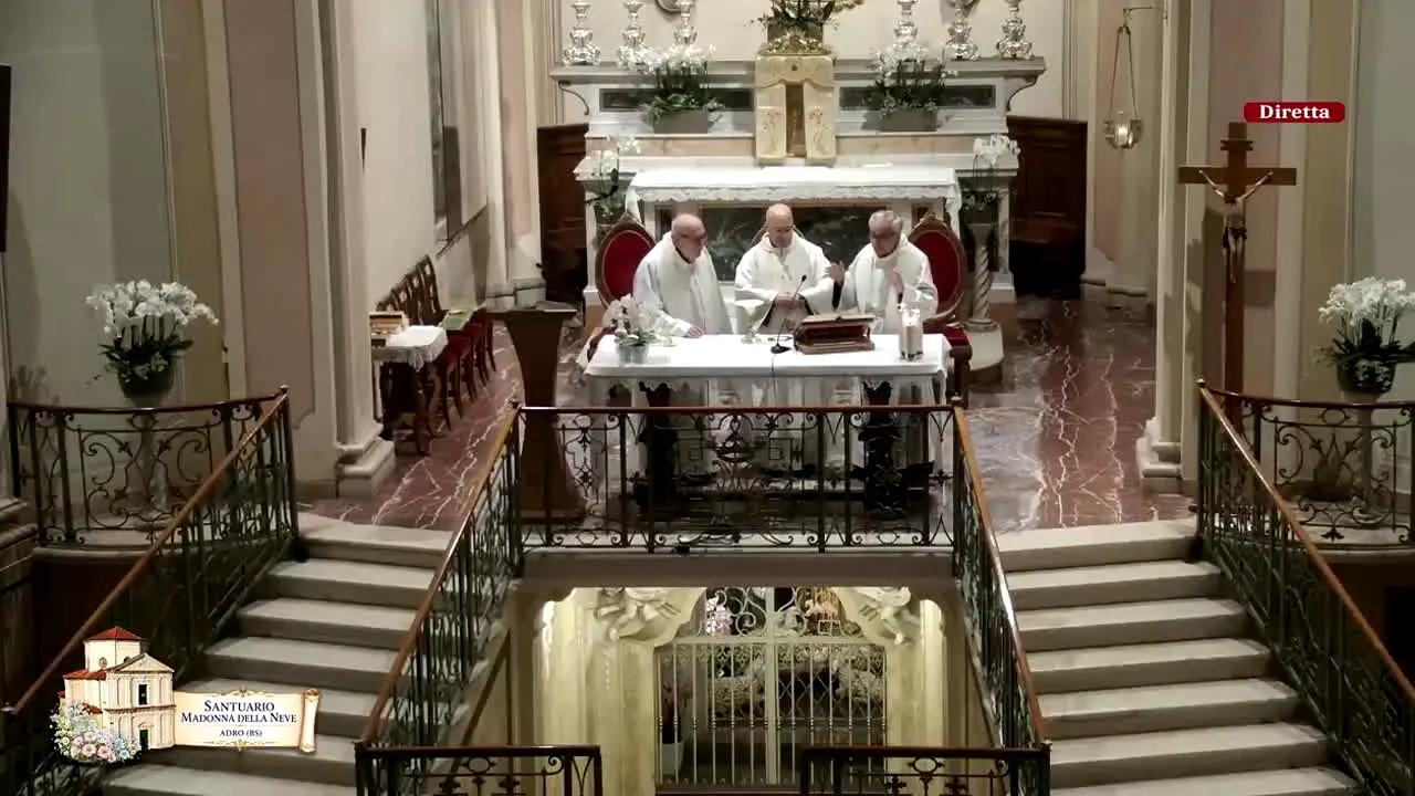 Teleleonessa live
