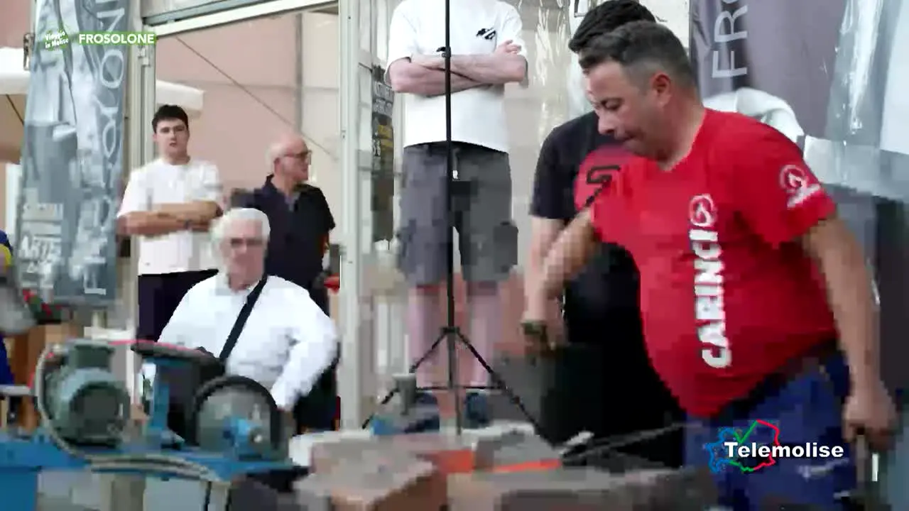 Tele Molise live