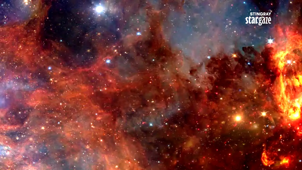 Stingray Stargaze live