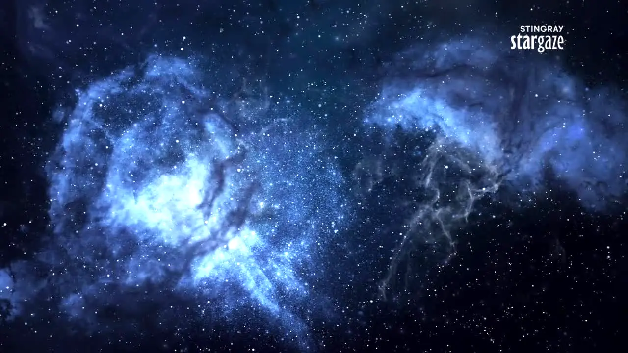 Stingray Stargaze ao vivo
