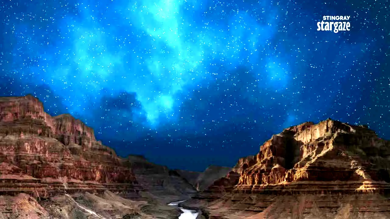 Stingray Stargaze live
