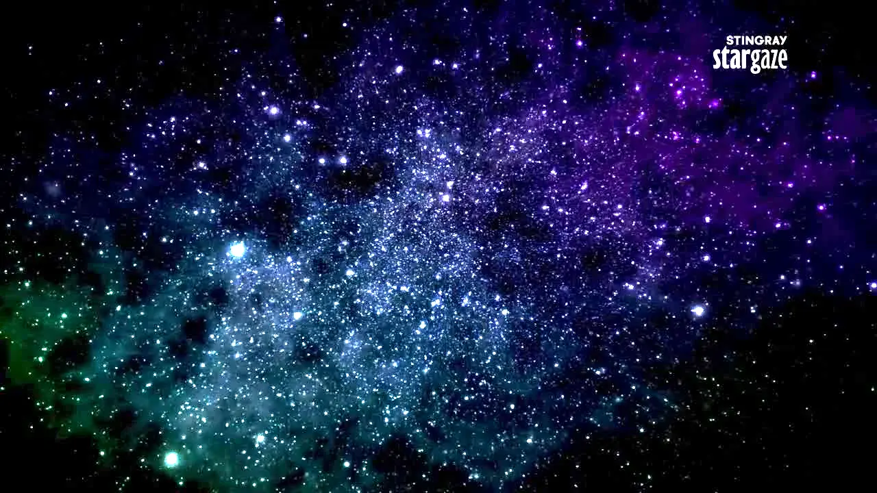 Stingray Stargaze en vivo