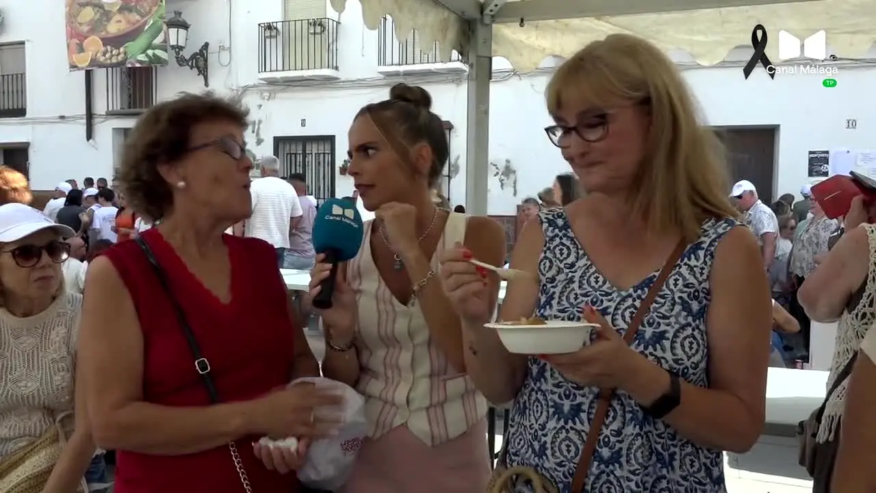 Canal Málaga live