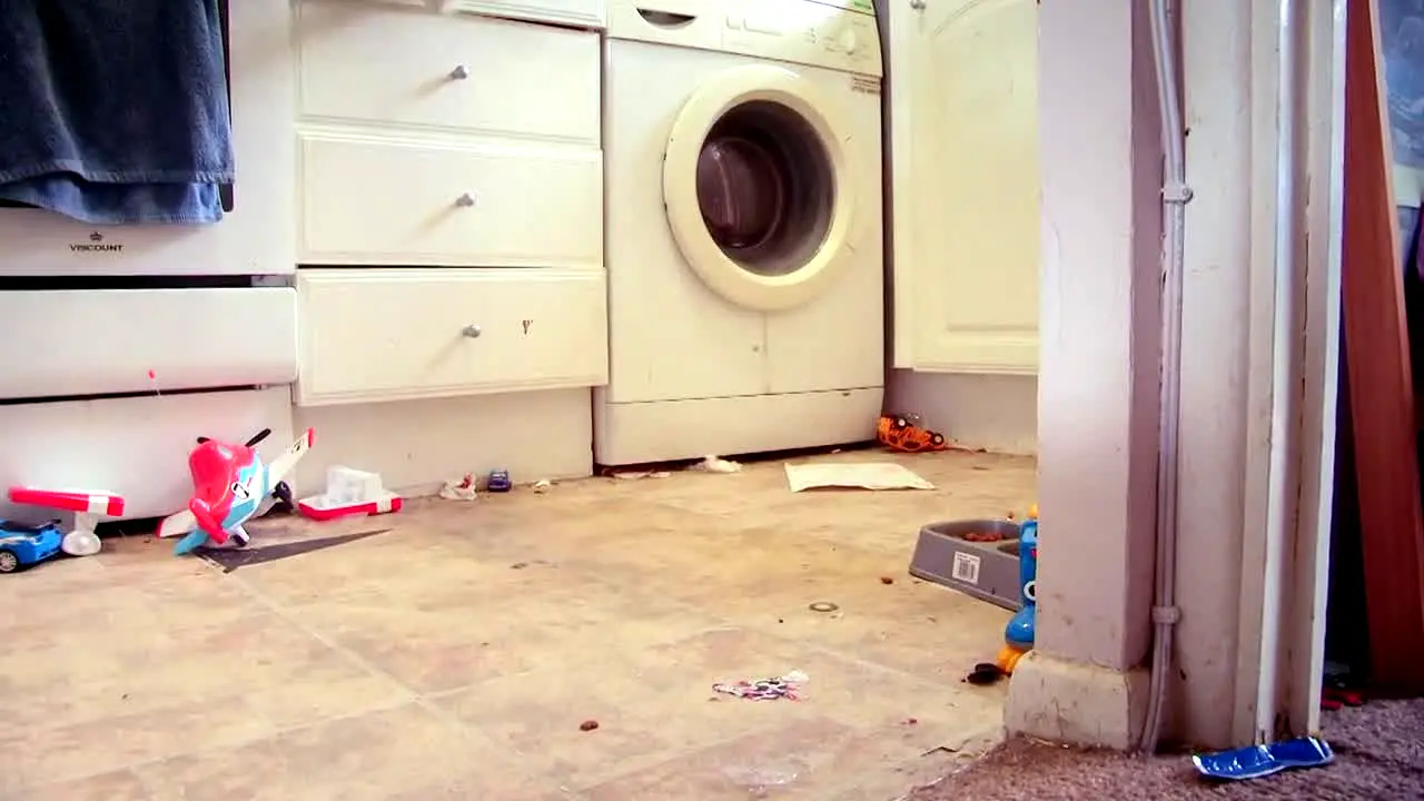 Obsessive Compulsive Cleaners live