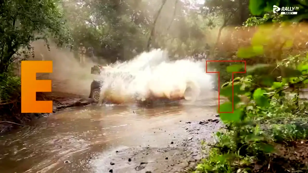 Rally.TV FAST+ live