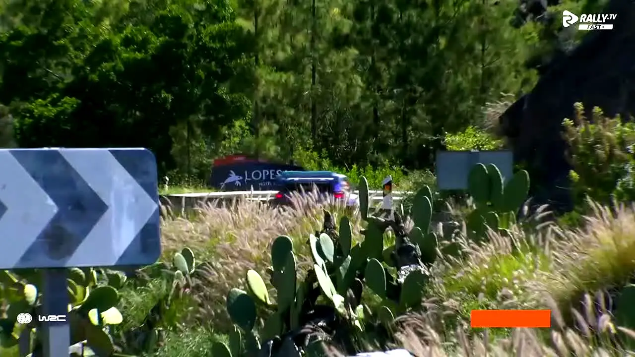 Rally.TV FAST+ live
