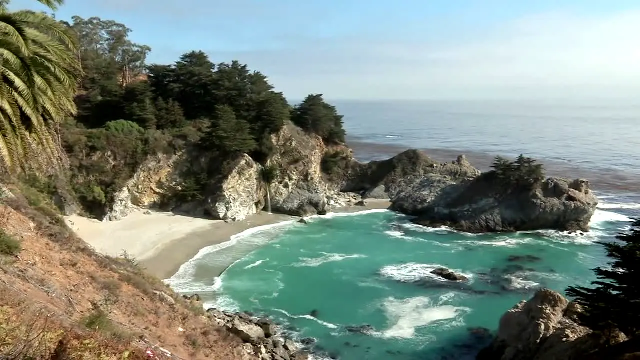 NatureVision live