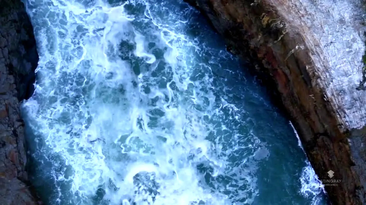 NatureVision live