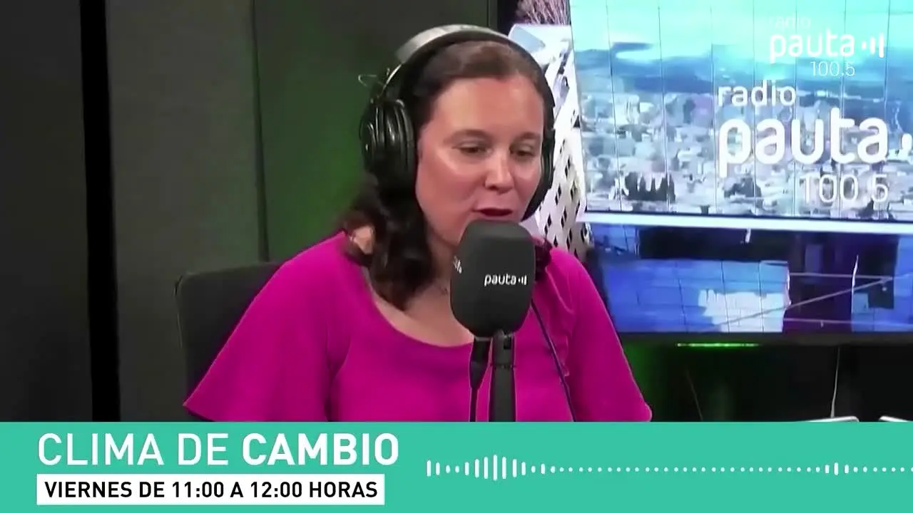 Pauta TV live