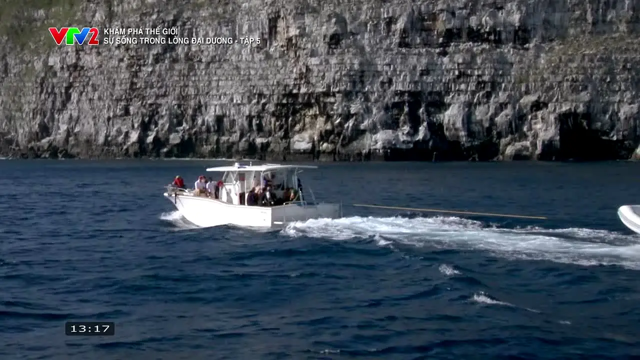 VTV2 in diretta