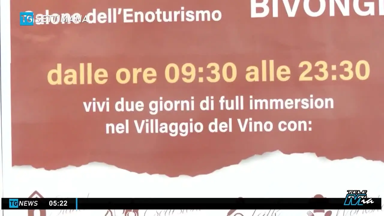 Tele Mia live