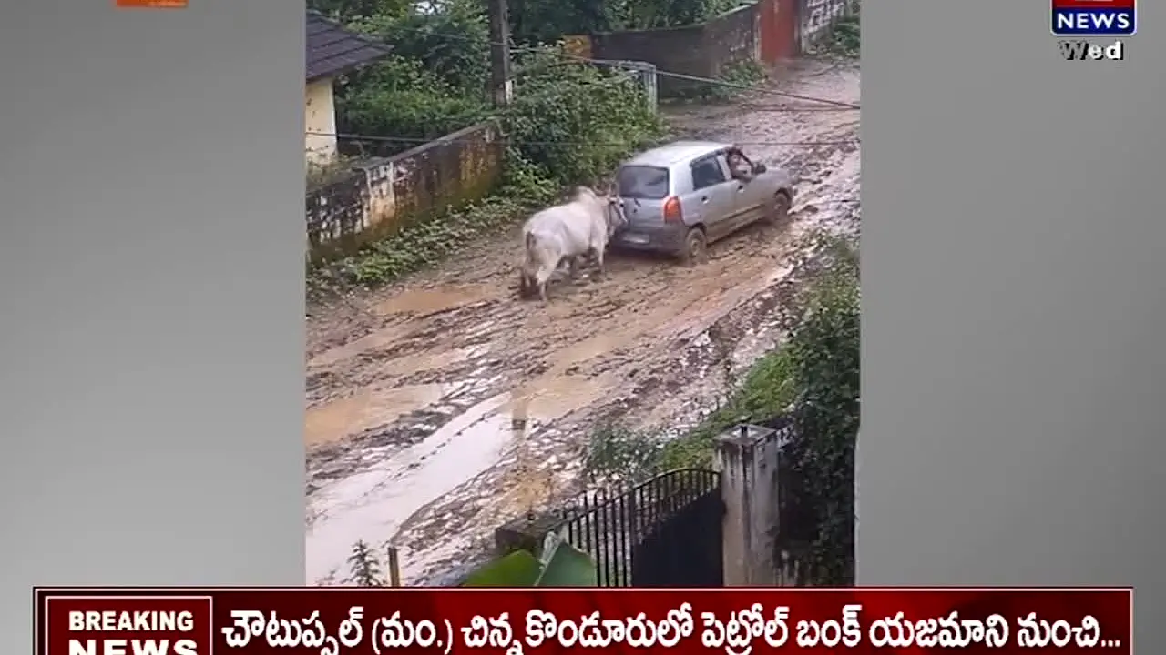 T News live