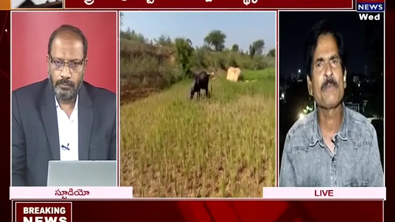 T News live