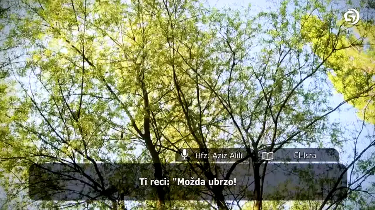 Televizija 5 — прямой эфир