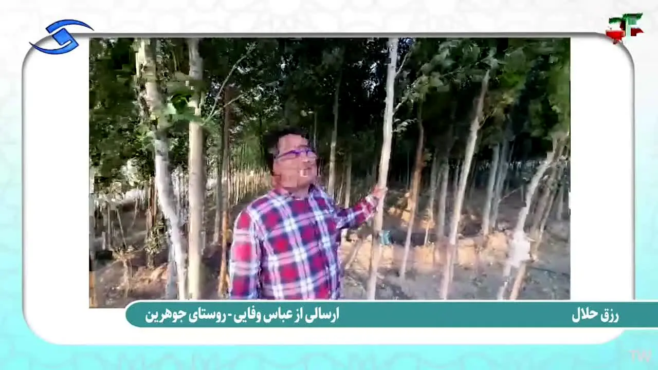 Qazvin TV in diretta