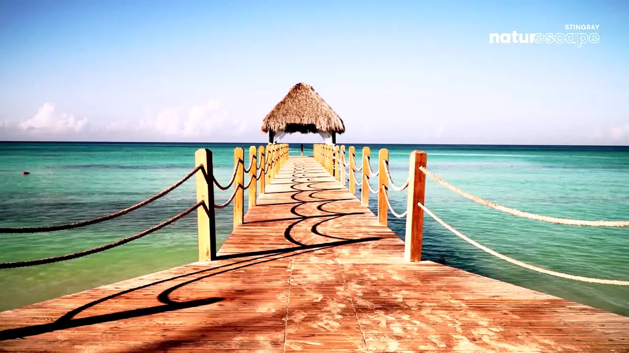 Naturescape en vivo
