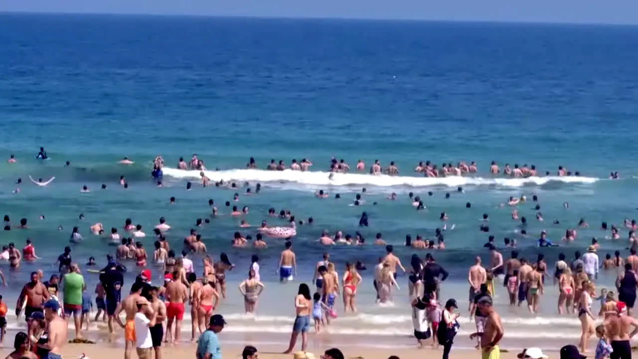 Bondi Rescue live