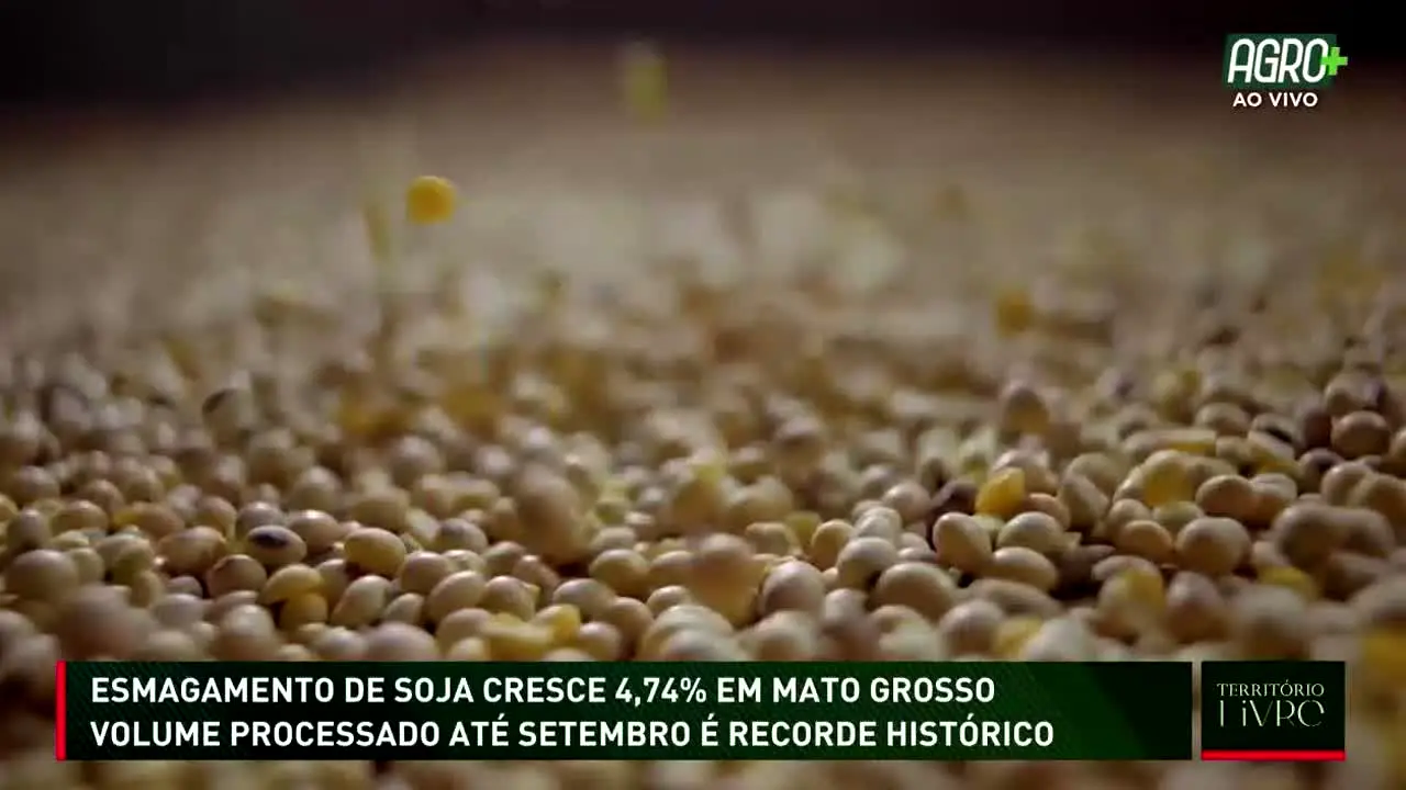 AgroMais live