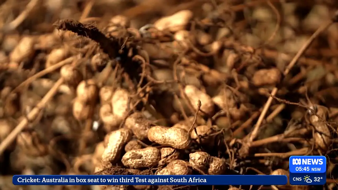 ABC News en direct