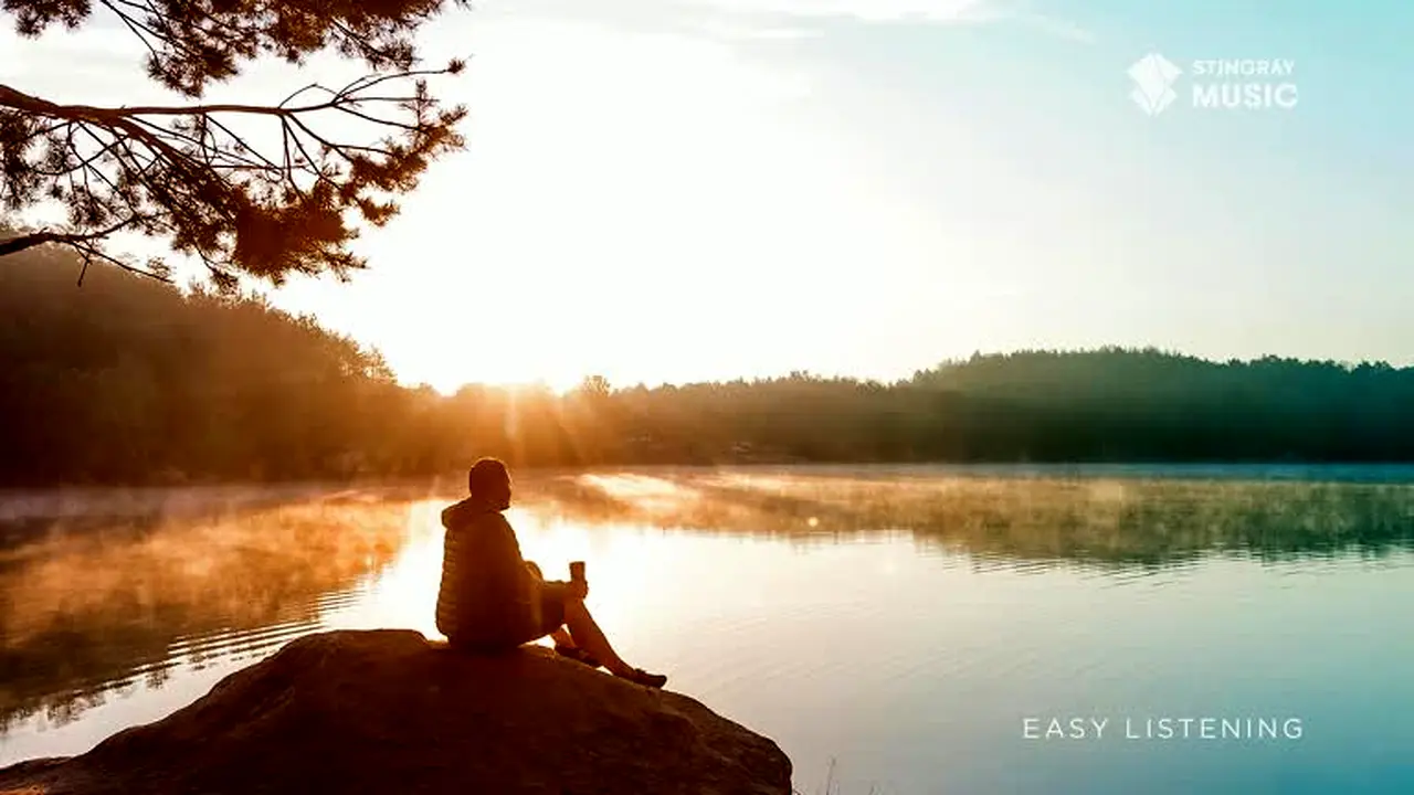 Easy Listening live