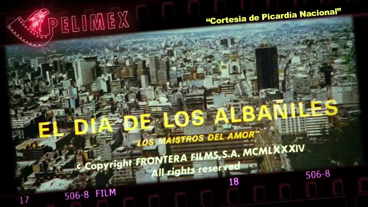 Pelimex live