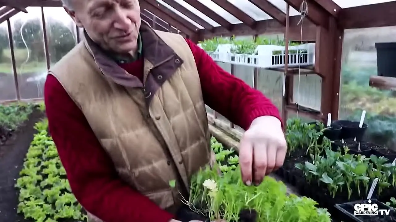 Epic Gardening TV live