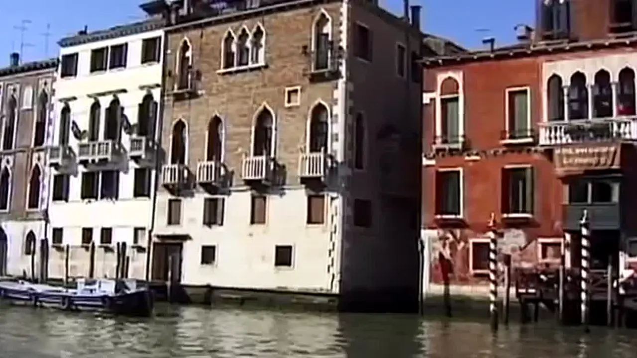 TVS Travel Network live