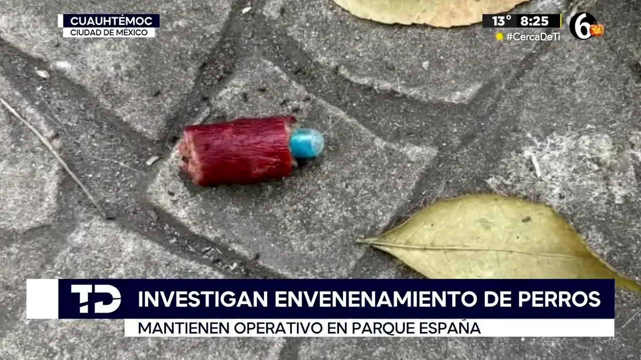 Multimedios CDMX na żywo