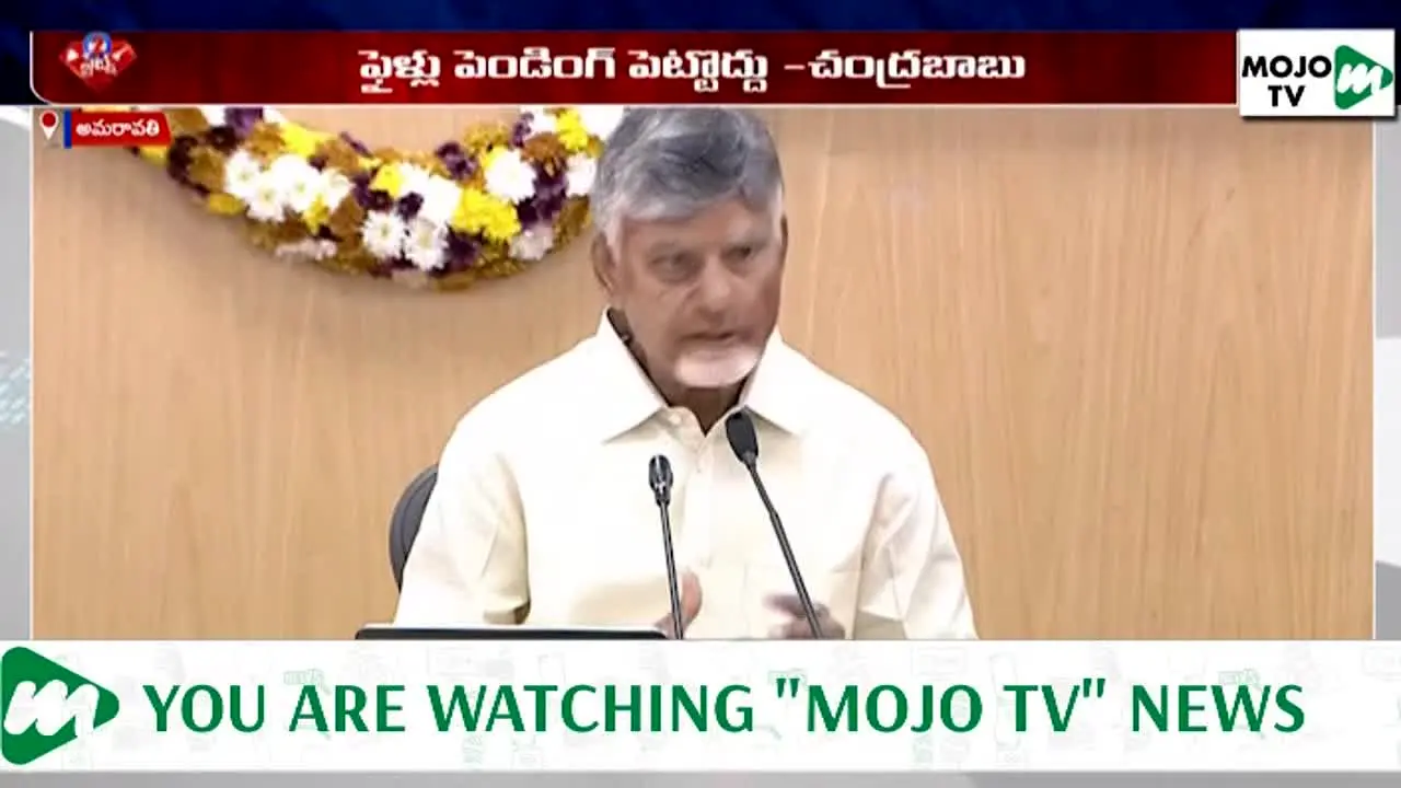Mojo TV live