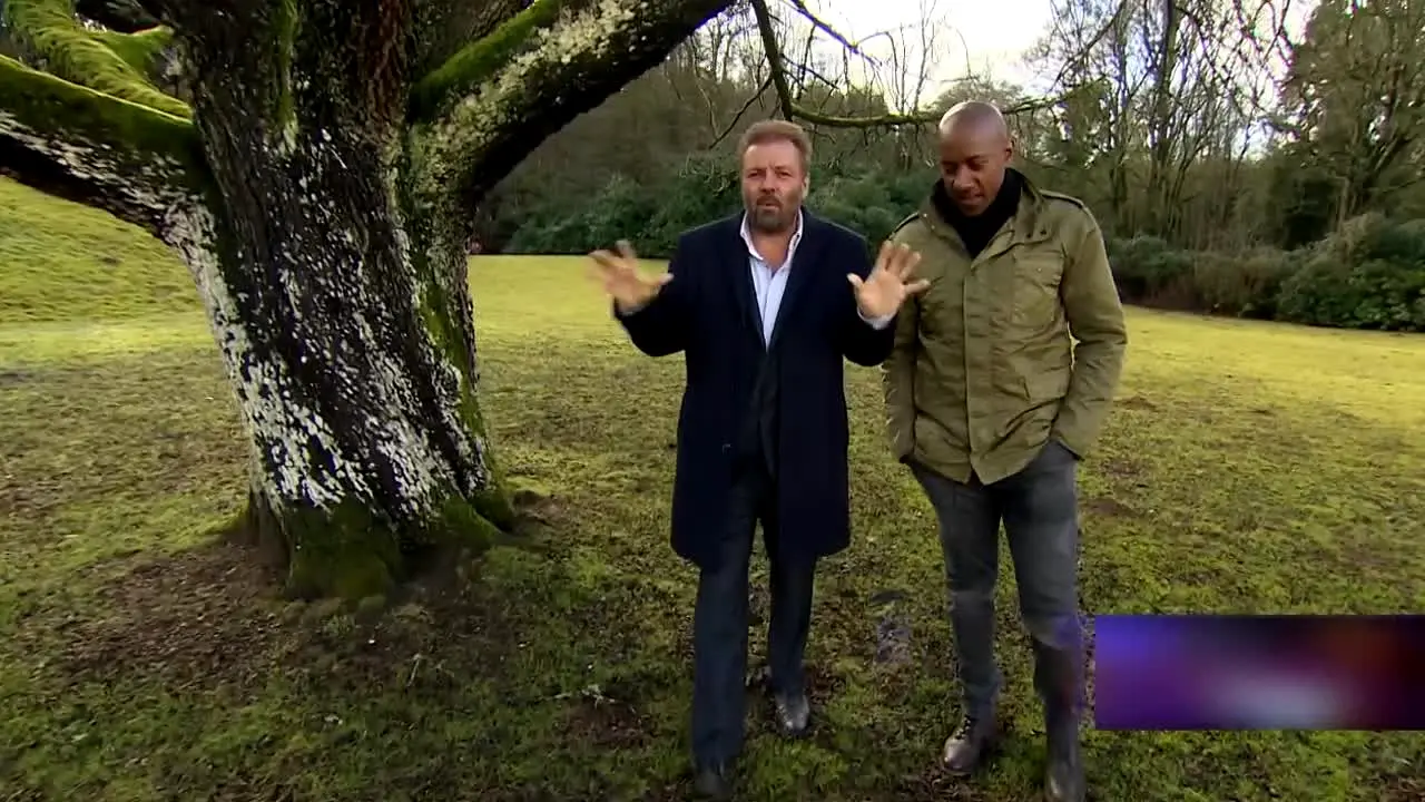 Homes Under the Hammer live