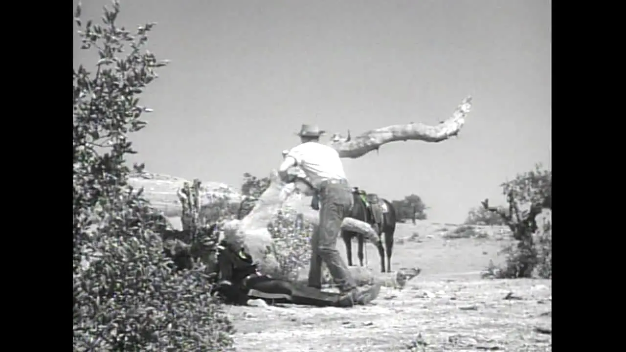 Pluto TV Westerns live