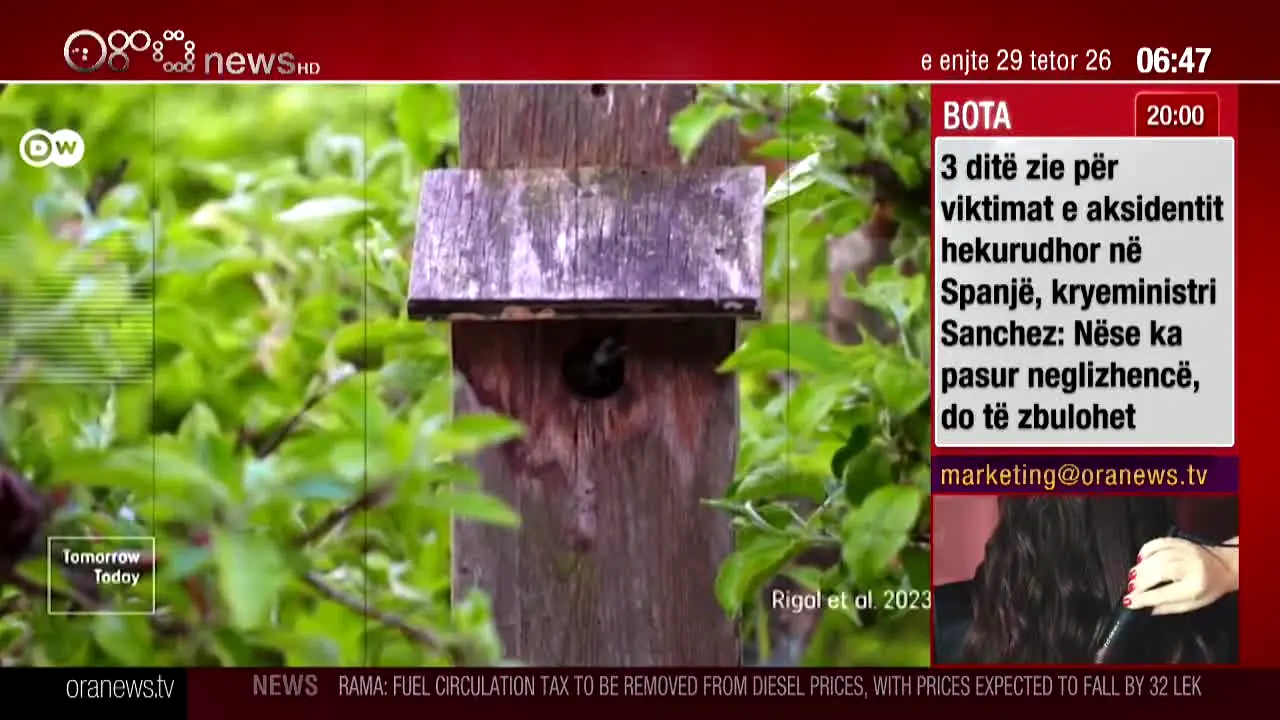 Ora News live
