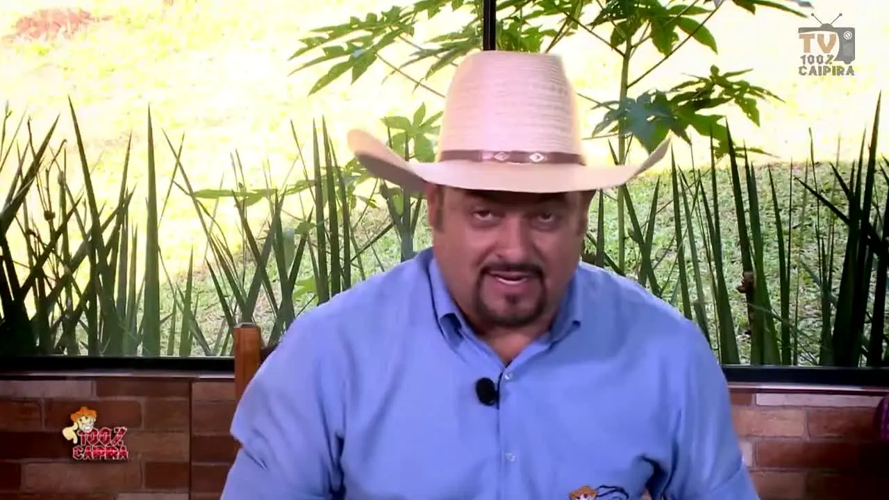 TV 100% Caipira live