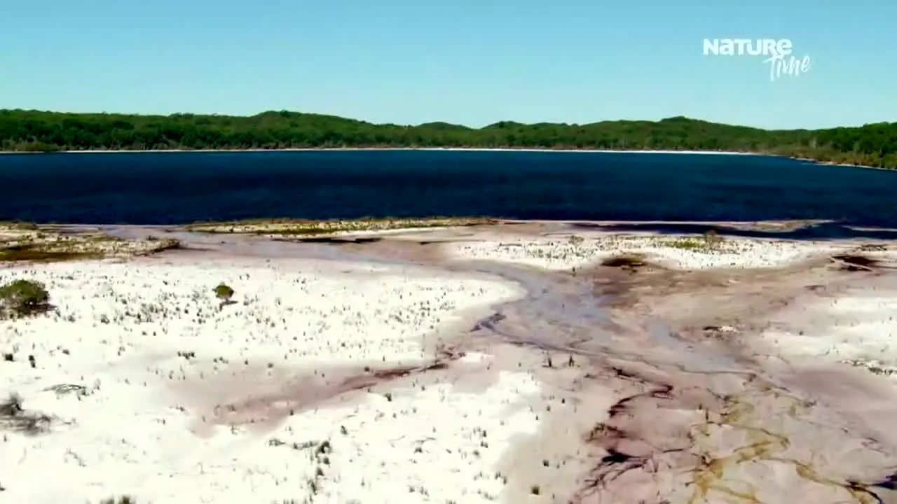 Nature Time ao vivo