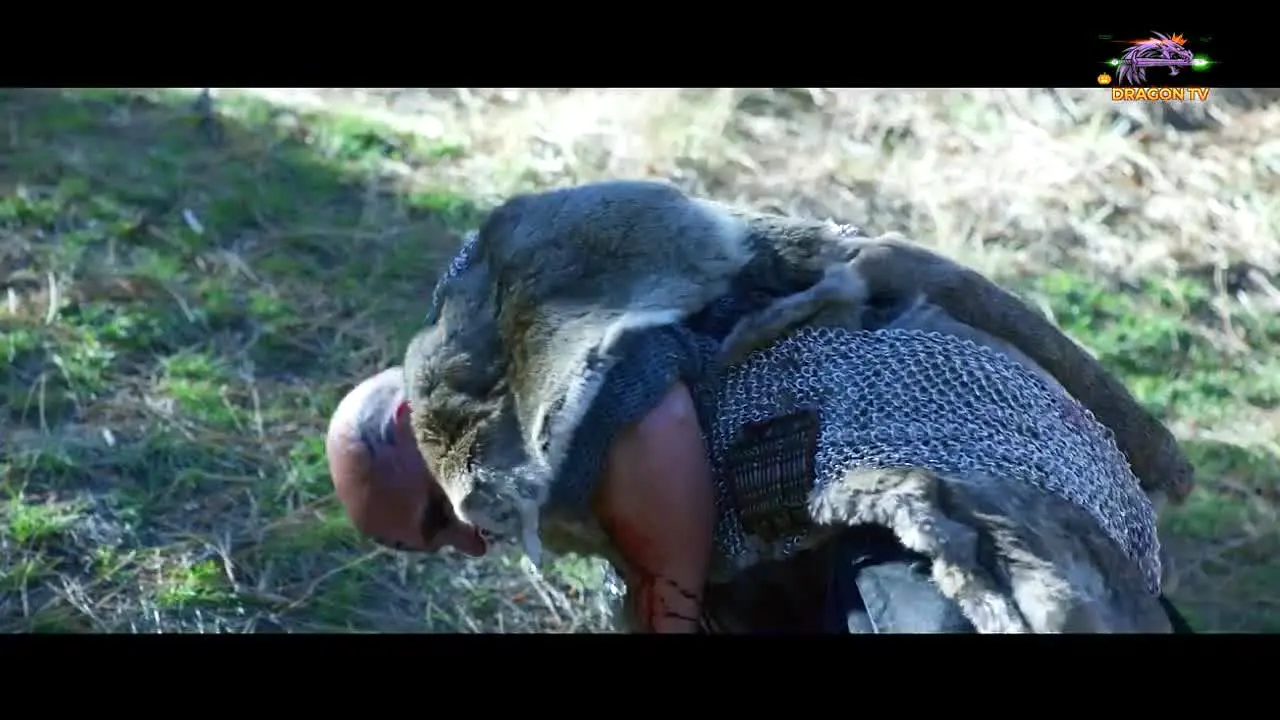 Dragon TV na żywo