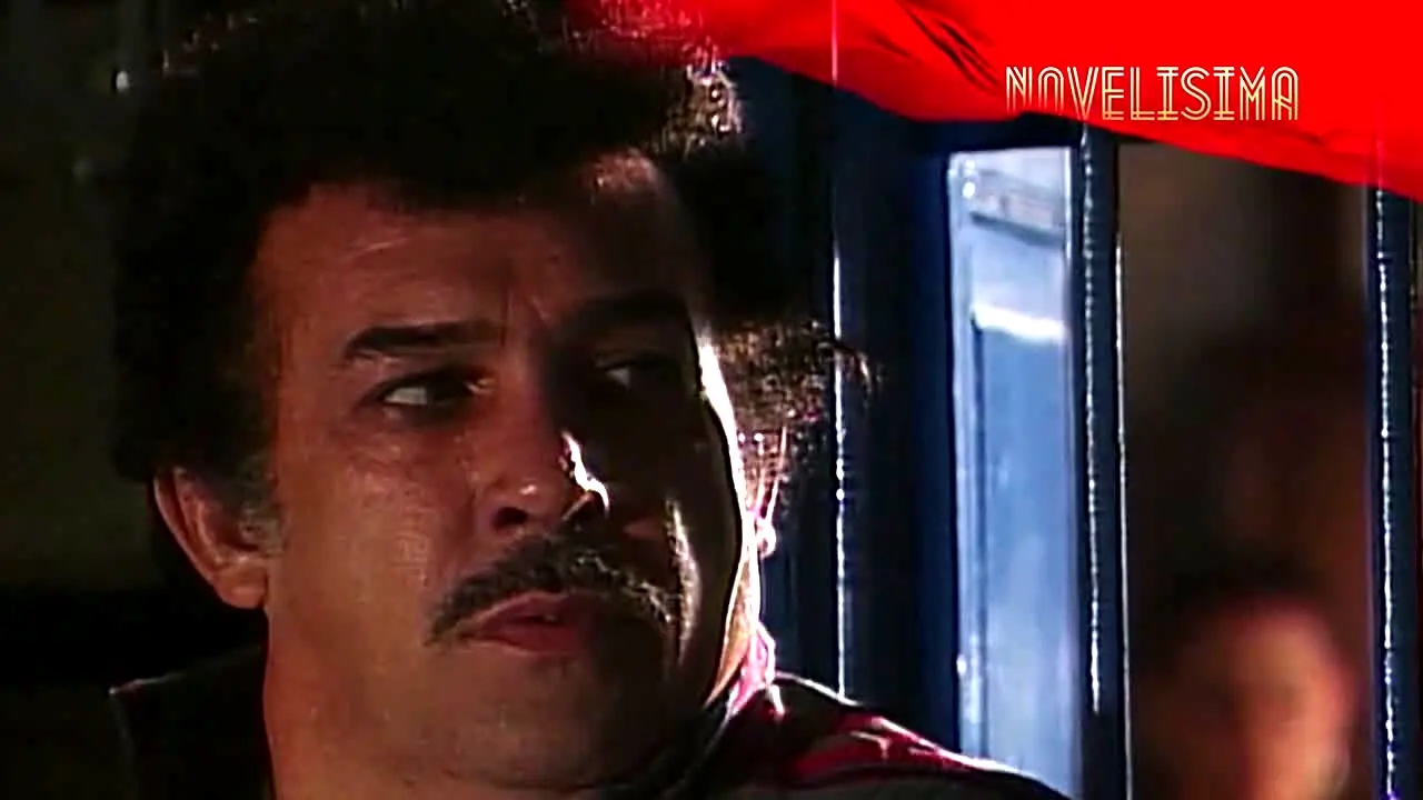 Novelísima ao vivo