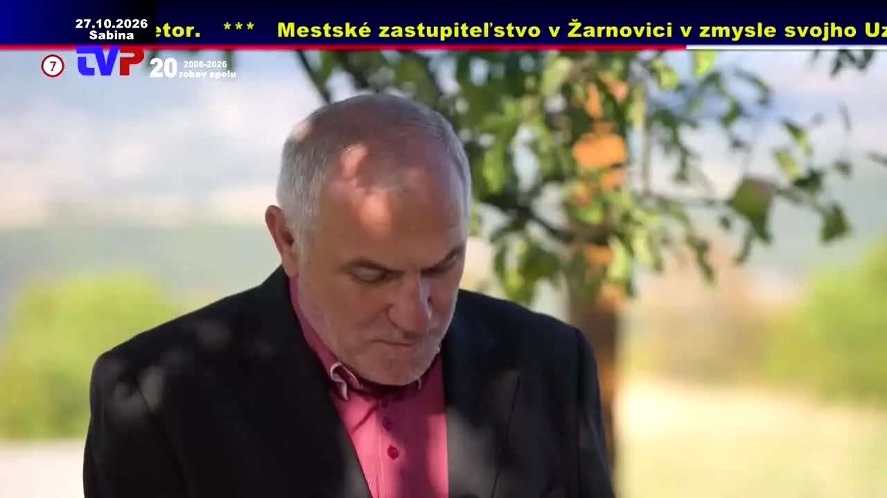 TV Panorama live