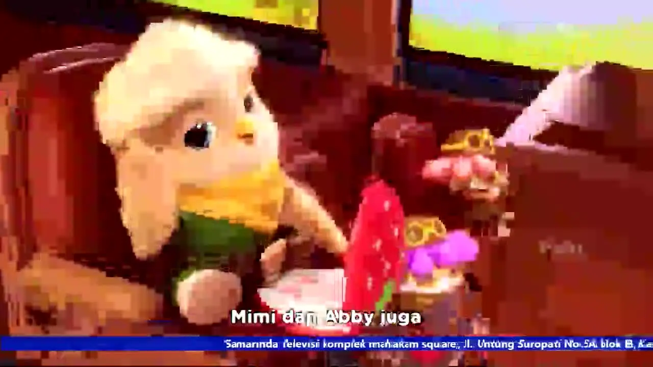 STV na żywo