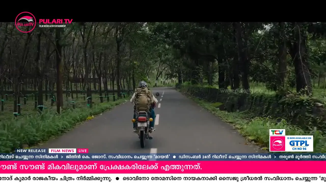 Pulari TV live