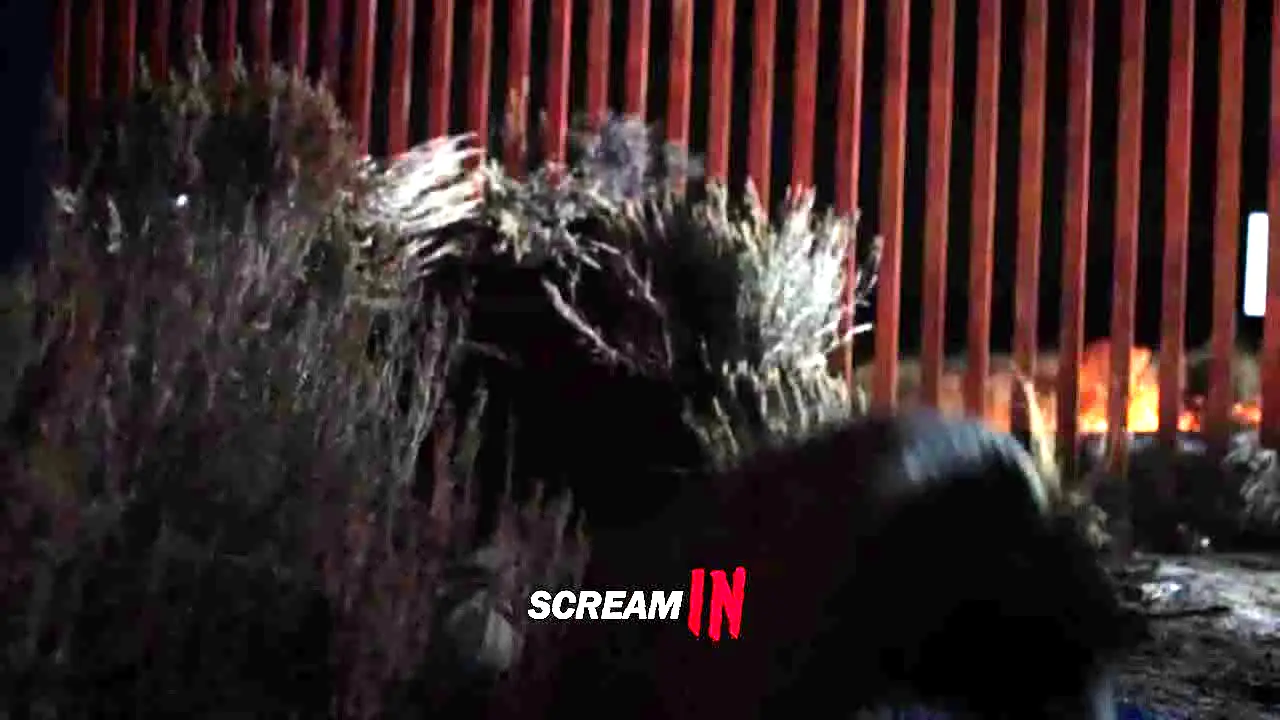 ScreamIN en vivo