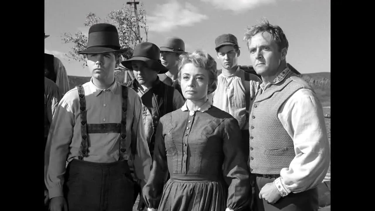 Rawhide live