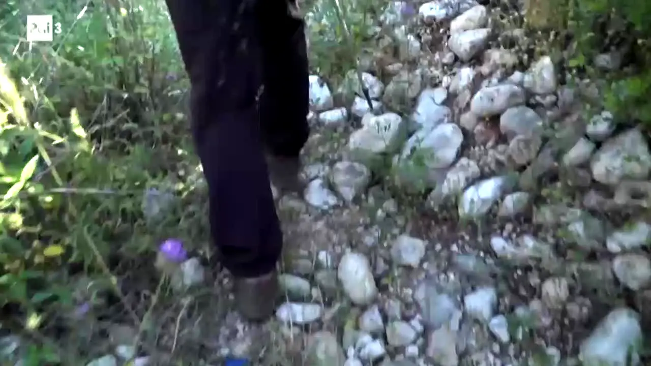 Rai Sudtirol in diretta