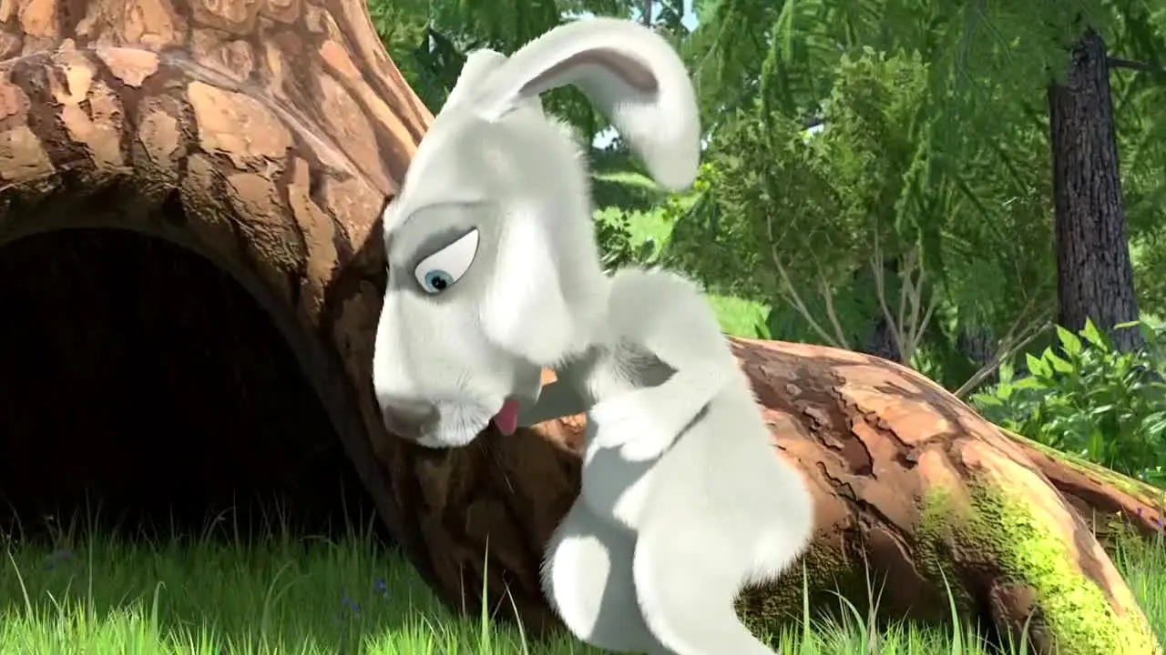 Masha e Orso na żywo