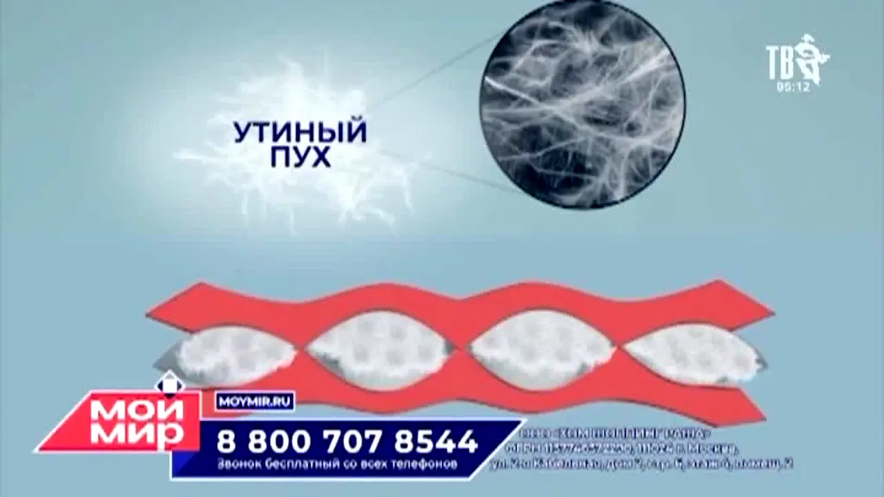 Shanson TV in diretta