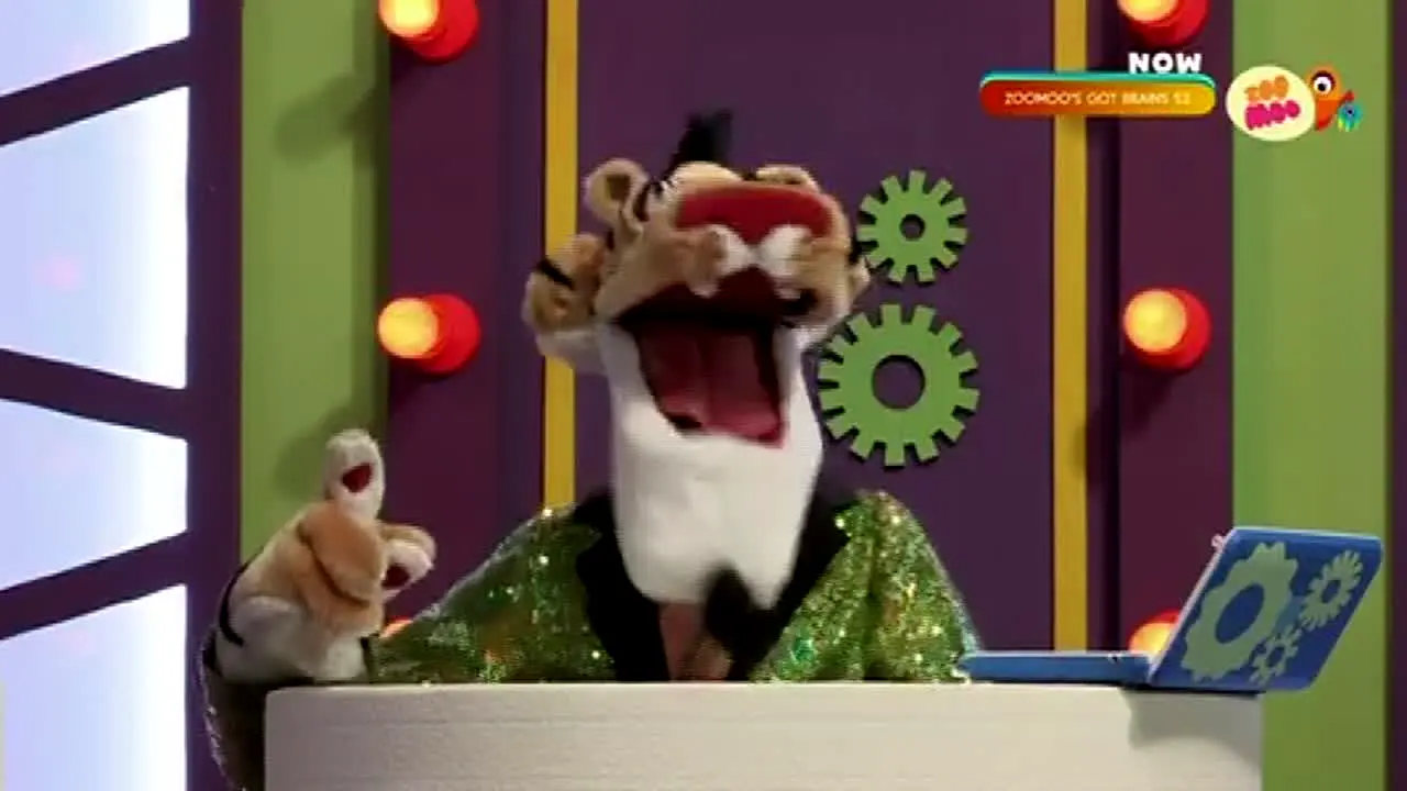 ZooMoo en vivo