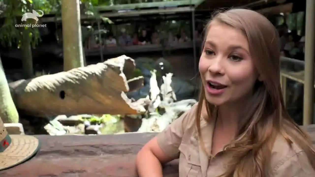 Animal Planet live